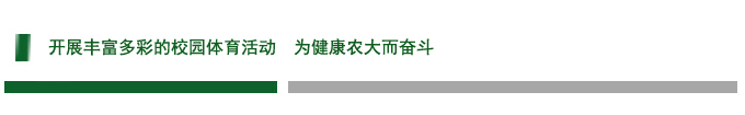 开展丰富多彩的校园体育活动  为健康农大而奋斗