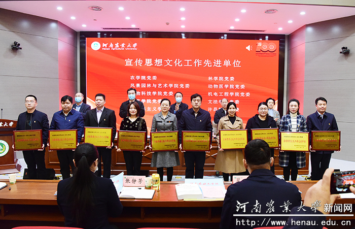 为宣传思想文化工作先进单位颁发奖牌