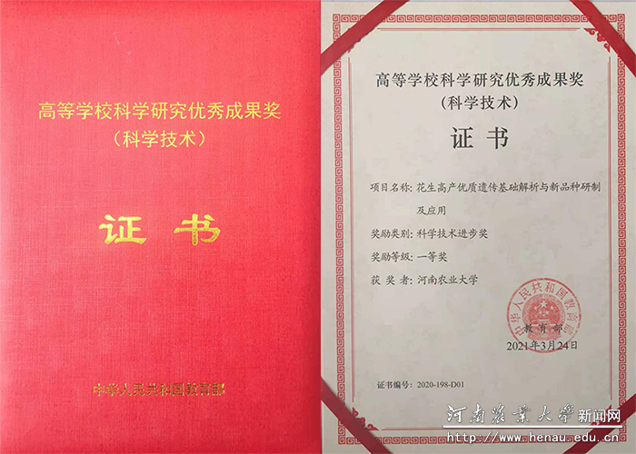 证书 证书