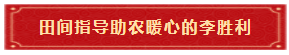 田间指导助农暖心的李胜利