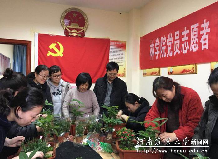 林学院党员进社区活动 林学院党员进社区活动