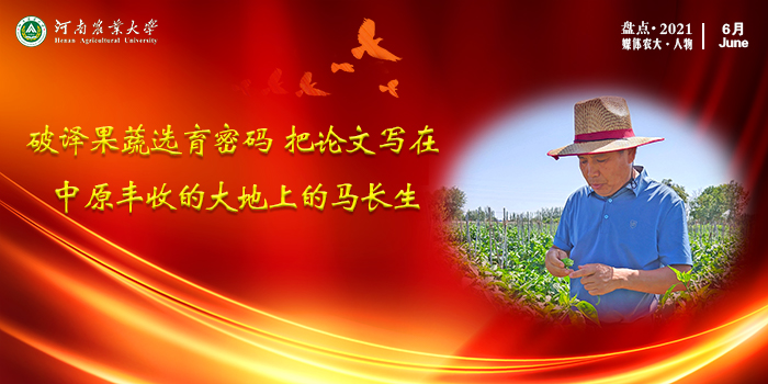 9 马长生:破译果蔬选育密码 把论文写在中原丰收的大地上 9 马长生:破译果蔬选育密码 把论文写在中原丰收的大地上