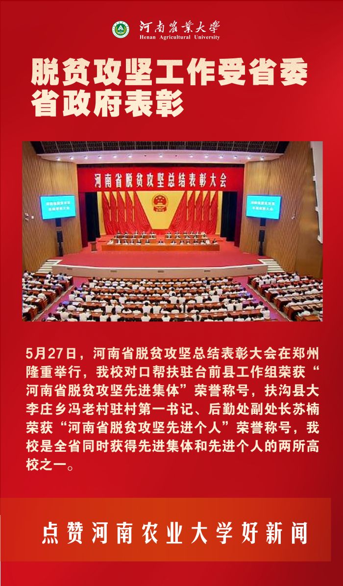 11 脱贫攻坚工作表彰 11 脱贫攻坚工作表彰