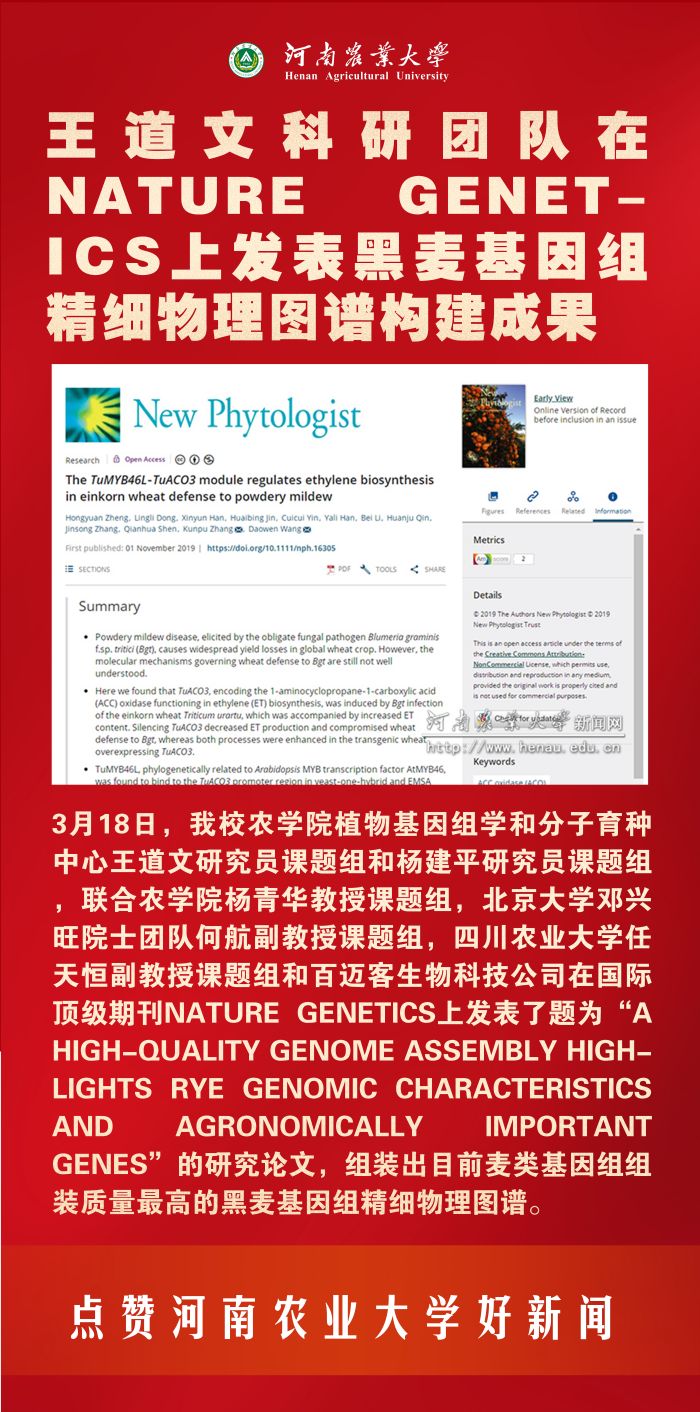 9 王道文 9 王道文