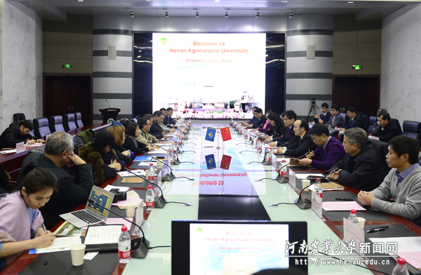 双方在中原农村信息港举行座谈 双方在中原农村信息港举行座谈