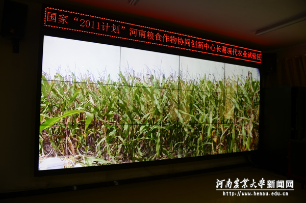田间实时监测系统 田间实时监测系统
