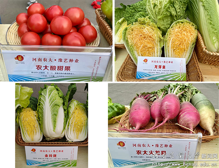 食品 食品