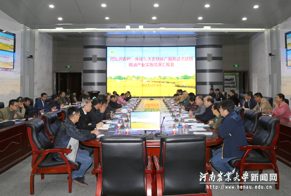 粮油产业集中汇报和考评会议