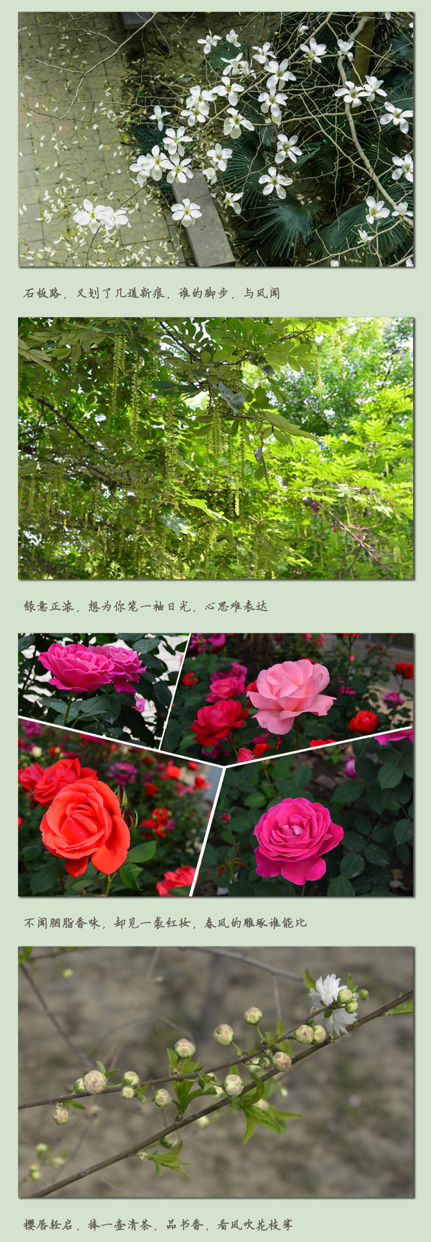 如约而来，她在百年农大等你2