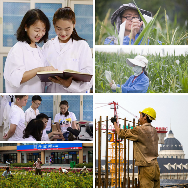 13、7月至8月,学校各条战线上活跃着一个个奋斗的身影。 13、7月至8月,学校各条战线上活跃着一个个奋斗的身影。