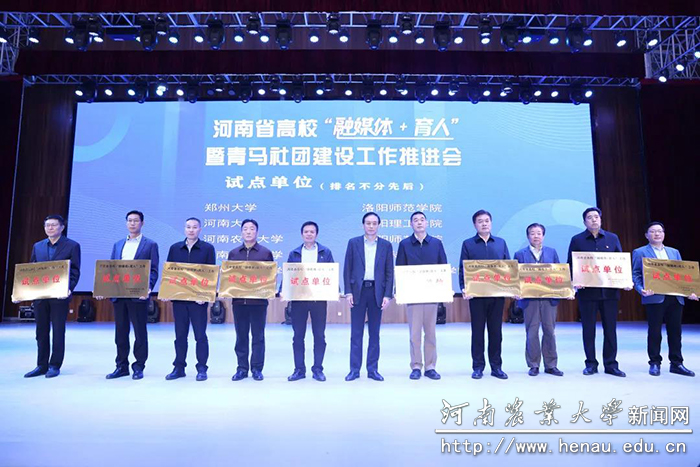 试点单位