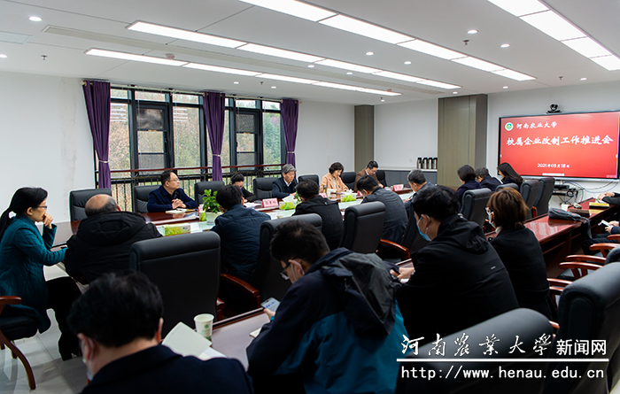_DSC0509 _DSC0509