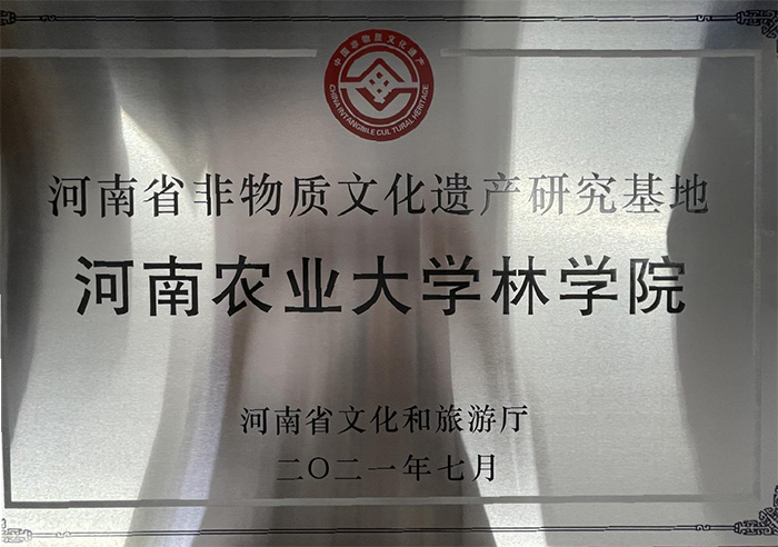 河南省非物质文化遗产研究基地.png
