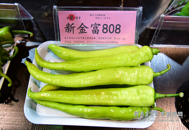 看见这个辣椒,就想油炸加干焗 副本 看见这个辣椒,就想油炸加干焗 副本